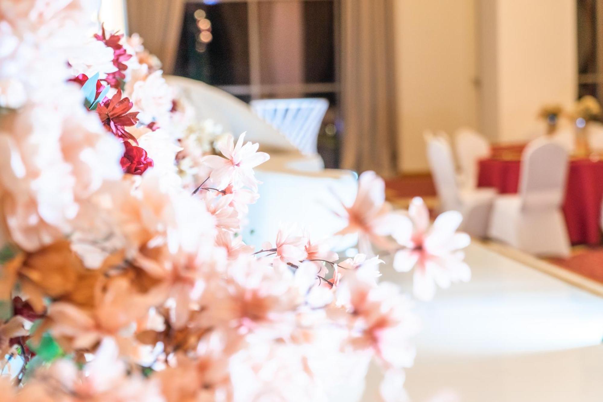 استراحة الفيحاء Al Feyhaa Resthouse Hotell Samail Exteriör bild